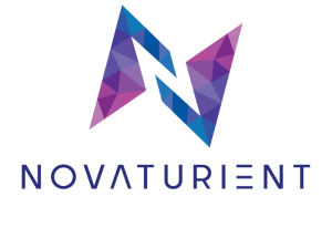 Joint Ventures 2 e1744710475895
